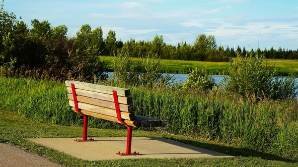 Les mythes courants sur les suppléments de perte de poids